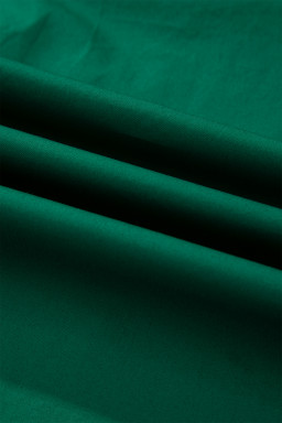 Evergreen Puffy Flounce Sleeve Leopard Trim V Neck Blouse