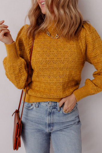 Jurassic Gold Hollow Out Crochet Ribbed Edge Balloon Sleeve Sweater