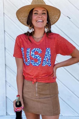 Vintage Washed Cheetah USA Graphic Tee