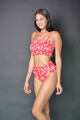 Red Floral Print Crop Top Bikini Set