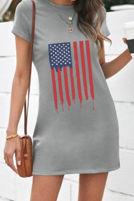 Women's Dresses Flag Mini Dress