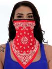 Unisex Novelty Print Bandanas Cooling Neck Gaiter With Earloops