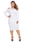 Cold Shoulder Mesh Yoke Plus Size Dress