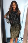 Ombre Sequin Tassel Sleeve Bodycon Evening Dress