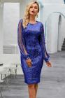 Sequin Tassel Sleeve Bodycon Evening Dress