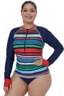 Multicolor Striped Long Sleeve Front Zip Rashguard Top