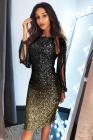 Ombre Sequin Tassel Sleeve Bodycon Evening Dress