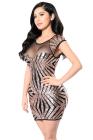Sequin Mesh Cutout Sexy Club Dress