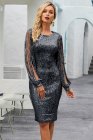 Sequin Tassel Sleeve Bodycon Evening Dress