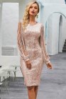 Sequin Tassel Sleeve Bodycon Evening Dress