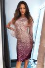 Ombre Sequin Tassel Sleeve Bodycon Evening Dress