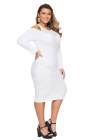 Cold Shoulder Mesh Yoke Plus Size Dress