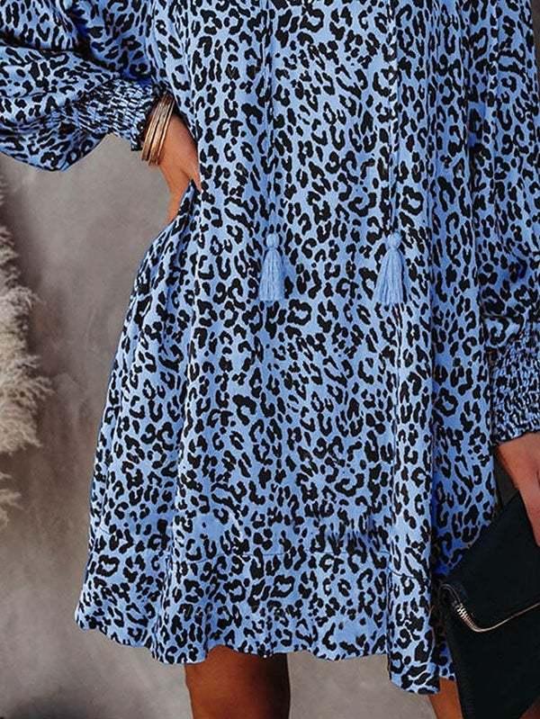 Floral V Neck Long Sleeve Mini Swing Dress