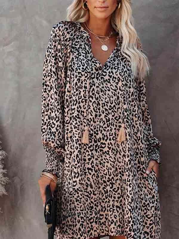 Floral V Neck Long Sleeve Mini Swing Dress