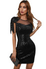 Mesh Bodycon Sequin Mini Dress with Tassel