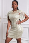 Mesh Bodycon Sequin Mini Dress with Tassel