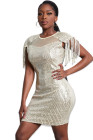 Mesh Bodycon Sequin Mini Dress with Tassel