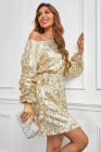 Women's Sequin Long Sleeves Mini Bodycon Dress Evening Party Dress