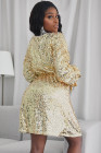 Women's Sequin Long Sleeves Mini Bodycon Dress Evening Party Dress