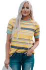 Womens Multicolor Stripes Crew Neck T Shirt Top