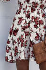 Women's Dresses Floral Print Lantern Sleeve Mini Dress