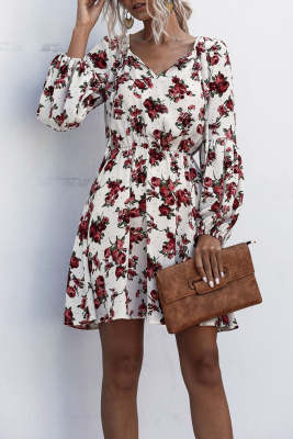 Women's Dresses Floral Print Lantern Sleeve Mini Dress