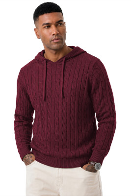 JMIERR Mens Hooded Collar Pullover Sweaters | Drawstring, Twist Texture Knitted, Winter, Fall, Long Sleeve MC276058-P403