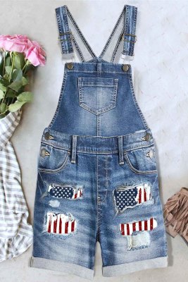 American Flag Graphic Ripped Overalls LC784735-4
