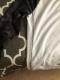 White Camo Print Long Sleeve Sweatshirts