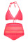 Rosy Pom Pom Mesh Insert High Waist Bikini