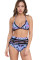 Sky Blue Stripe Tassel Trim High Waist Bikini