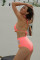 Pink Pom Pom Mesh Insert High Waist Bikini