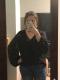 Apricot V Neck Lantern Sleeve Lace Hollow Out Long Sleeve Top