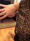 Apricot V Neck Lantern Sleeve Lace Hollow Out Long Sleeve Top